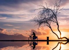 Understanding Mental Health and Its Importance