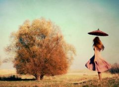 The Mental Health Benefits of Physical Exercise