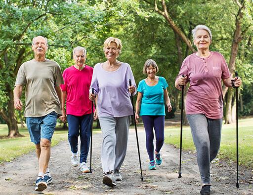 Understanding Geriatric Psychology: A Guide to the Mental Well-being of Older Adults