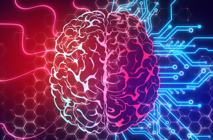 The Intricacies of Biological Psychology