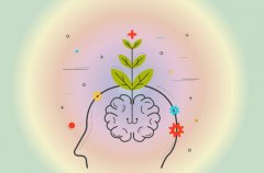 Psychology Subjects: Unraveling the Human Mind and Behavior