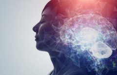 Navigating the Path to Mental Wellness